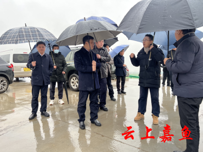 王永调研簰洲湾长江大桥建设时强调：力争早日建成投用 为完善区域大交通格局发挥更大作用