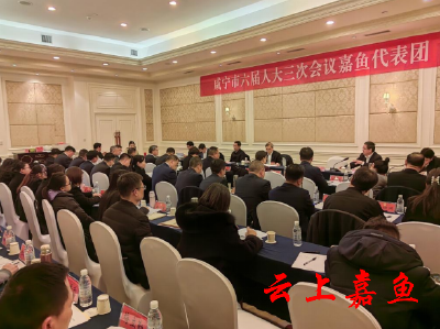 市领导参加咸宁市六届人大三次会议嘉鱼代表团分团审议