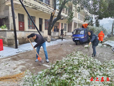 官桥镇：以动制“冻”全力应对雨雪天气