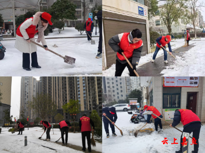 【防范应对新一轮低温雨雪冰冻天气】嘉鱼税务：铲雪除冰保畅通 志愿服务在行动