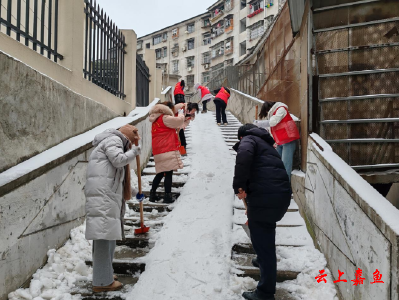 【防范应对新一轮低温雨雪冰冻天气】鱼岳镇茶庵社区：积极应对低温雨雪天气 确保居民生产生活安全