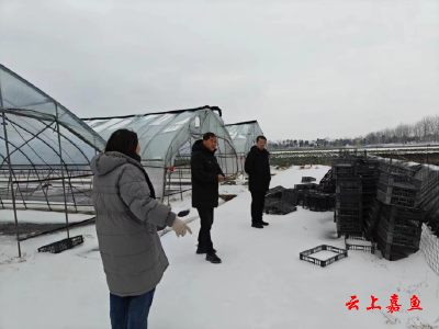 【防范应对新一轮低温雨雪冰冻天气】簰洲湾镇：雪中送炭暖人心