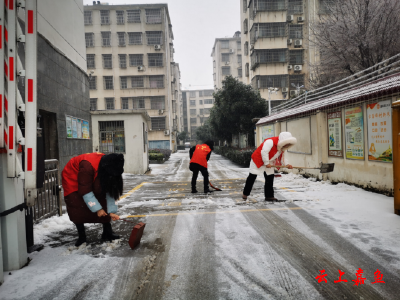 嘉鱼县总工会开展除雪清障活动