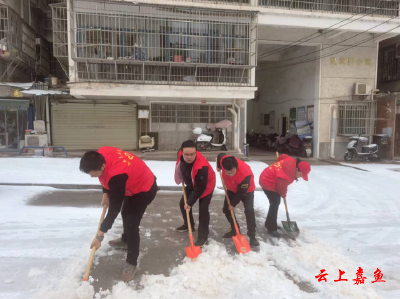 【防范应对新一轮低温雨雪冰冻天气】县委宣传部下沉党员打响清雪除冰攻坚战