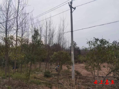 【防范应对新一轮低温雨雪冰冻天气】高铁岭镇：多举措做好当前低温雨雪冰冻天气应对工作