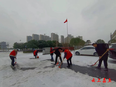 【防范应对新一轮低温雨雪冰冻天气】嘉鱼县统计局组织开展除雪志愿服务活动