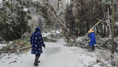 高铁岭镇八斗角村：齐心扫雪清障保畅暖人心