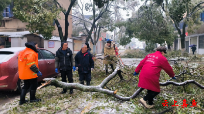 鱼岳镇北街社区开展“社区齐动员 扫雪暖人心”清扫积雪活动