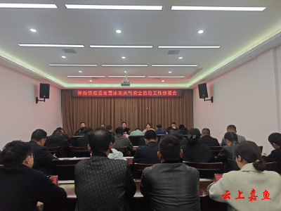新街镇：多举措做好低温雨雪冰冻天气应对工作