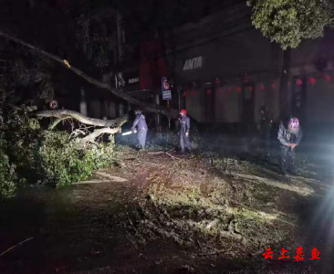 县园林局：园林工人连夜奋战清雪除障守护绿色家园