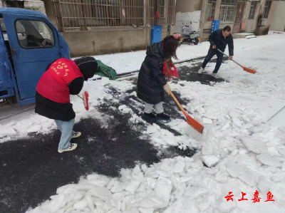 【防范应对新一轮低温雨雪冰冻天气】鱼岳镇东街社区：“以雪为令”扫雪除冰显担当