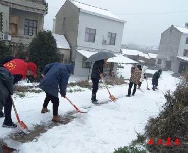 【防范应对新一轮低温雨雪冰冻天气】簰洲湾镇金家洲村：党群同行齐除冰共同缔造暖心路