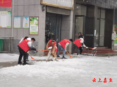 【防范应对新一轮低温雨雪冰冻天气】大雪纷飞至 县委办公室机关干部扫雪忙