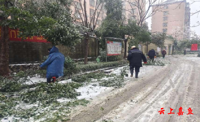 鱼岳镇三湖社区开展扫雪除冰志愿活动