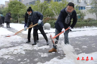 【防范应对新一轮低温雨雪冰冻天气】武汉大学中南医院嘉鱼医院组织开展铲雪除冰行动