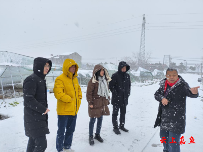 市农业农村局来嘉督导低温雨雪冰冻天气防灾减灾工作