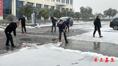 新街镇：党群“除雪保畅”齐心一起上