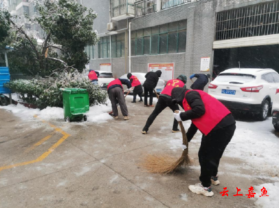 县公共资源交易中心开展扫雪除冰志愿活动