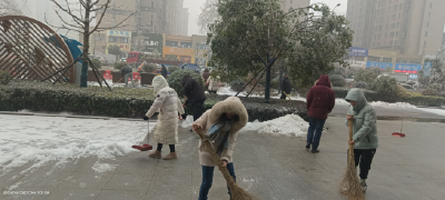 以雪为令闻雪而动——县政务服务中心积极扫雪除冰保障政务服务“不打烊”