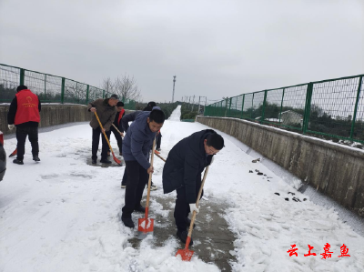 【防范应对新一轮低温雨雪冰冻天气】官桥镇官桥村开展铲雪除冰志愿服务活动