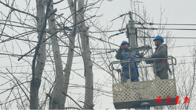 【防范应对新一轮低温雨雪冰冻天气】国网嘉鱼县供电公司：未雨绸缪 扎实做好电力保供