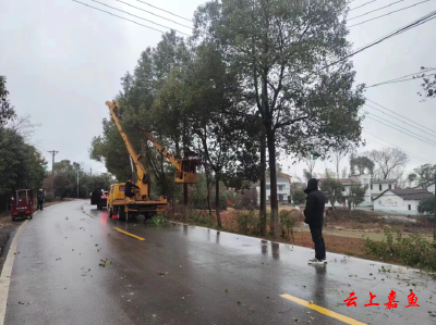 【防范应对新一轮低温雨雪冰冻天气】高铁岭镇广济堂村：多措并举做好低温雨雪冰冻天气防范应对工作