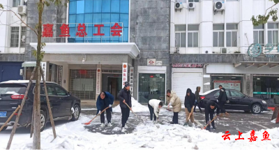 【防范应对新一轮低温雨雪冰冻天气】嘉鱼县总工会：除雪保畅暖人心