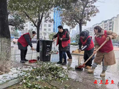 【文明嘉鱼】嘉鱼：万人洁城迎新年热火朝天大扫除