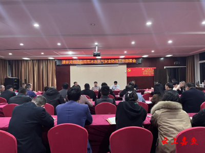 潘家湾镇召开低温雨雪冰冻天气安全防范工作部署会