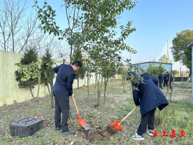 新街镇嘉鱼北联合党支部志愿队开展义务植树活动