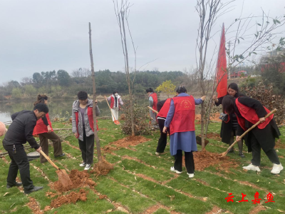 鱼岳镇三湖社区：植树养护共建绿色家园