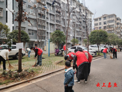 鱼岳镇樱花社区团委开展“清洁家园 青年志愿者在行动”志愿活动