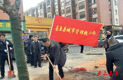 为城市添绿增彩嘉鱼县城市管理执法局开展植树活动