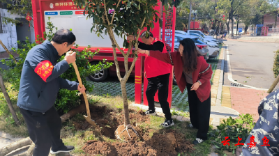 北街社区文庙山小区：志愿服务在行动 共同缔造美好家园