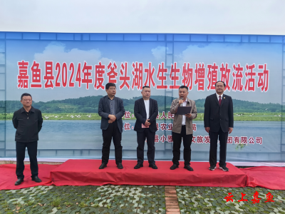 嘉鱼：增殖放流 改善水域生态环境