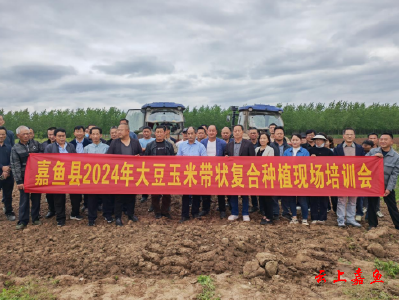 县农业农村局开展2024年大豆玉米带状复合种植培训