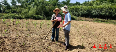 高铁岭镇人大：代表“秸”尽全力助力环境保护