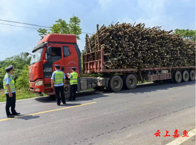 县交通运输综合执法大队在陆溪镇开展道路交通安全联合宣传劝导和执法行动