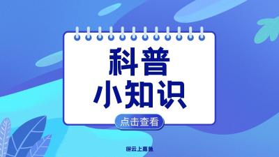 预防溺水安全知识