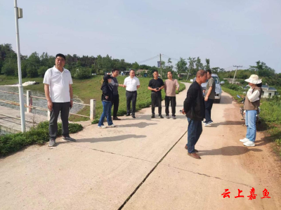 陆溪镇人大：扎实开展汛前检查