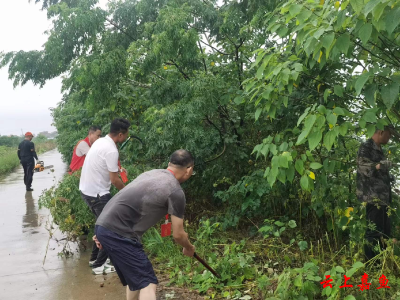 渡普镇王家庄村：清堤筑防确保安全度汛