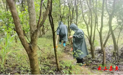 鱼岳镇三湖社区：全力筑牢汛期安全防线