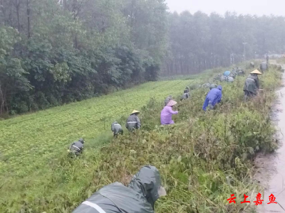潘家湾镇：闻“汛”而动 打好防汛主动仗