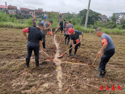 鱼岳镇十景铺村：党员干部奋勇当先 全力防汛抗洪