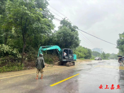 高铁岭镇临江村：清积水 保畅通