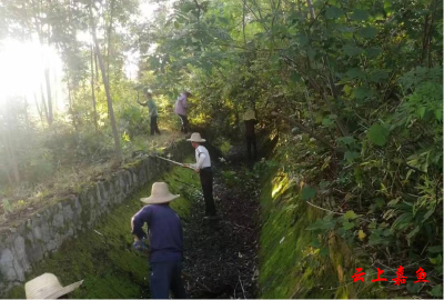 高铁岭镇九龙村：沟渠清淤助耕种
