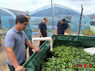 嘉鱼：做好台风“格美”防范  保障夏秋农业生产