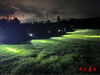 渡普镇：夜间巡查不放松 做好防汛“守夜人”