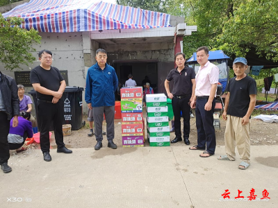 高铁岭镇：爱心物资送温暖 防汛慰问显真情  