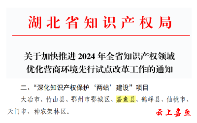 嘉鱼2项改革事项入选省优化营商环境改革先行区名单